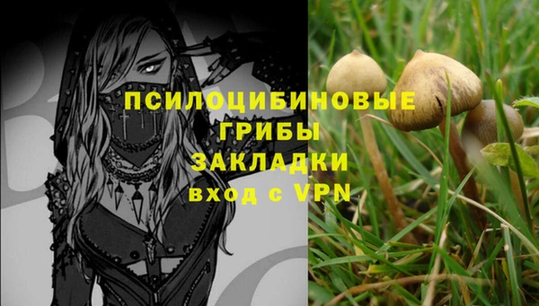 амфетамин Почеп