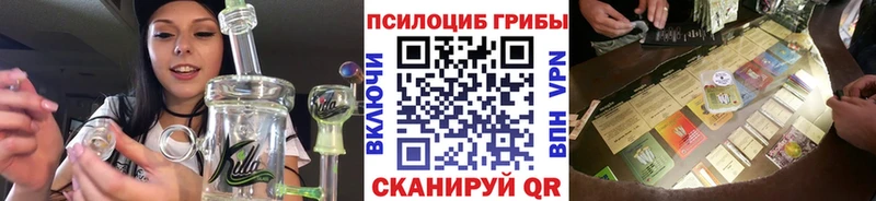 Галлюциногенные грибы мицелий Белая Калитва
