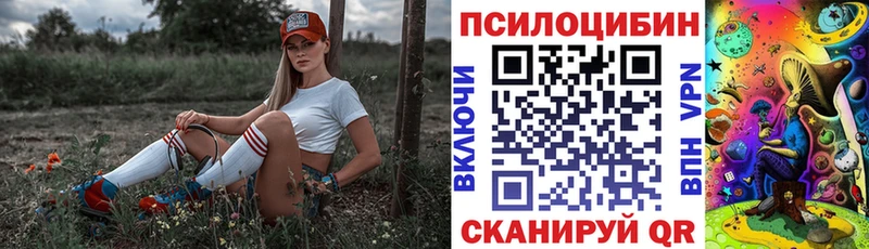 купить закладку  Белая Калитва  Галлюциногенные грибы GOLDEN TEACHER 